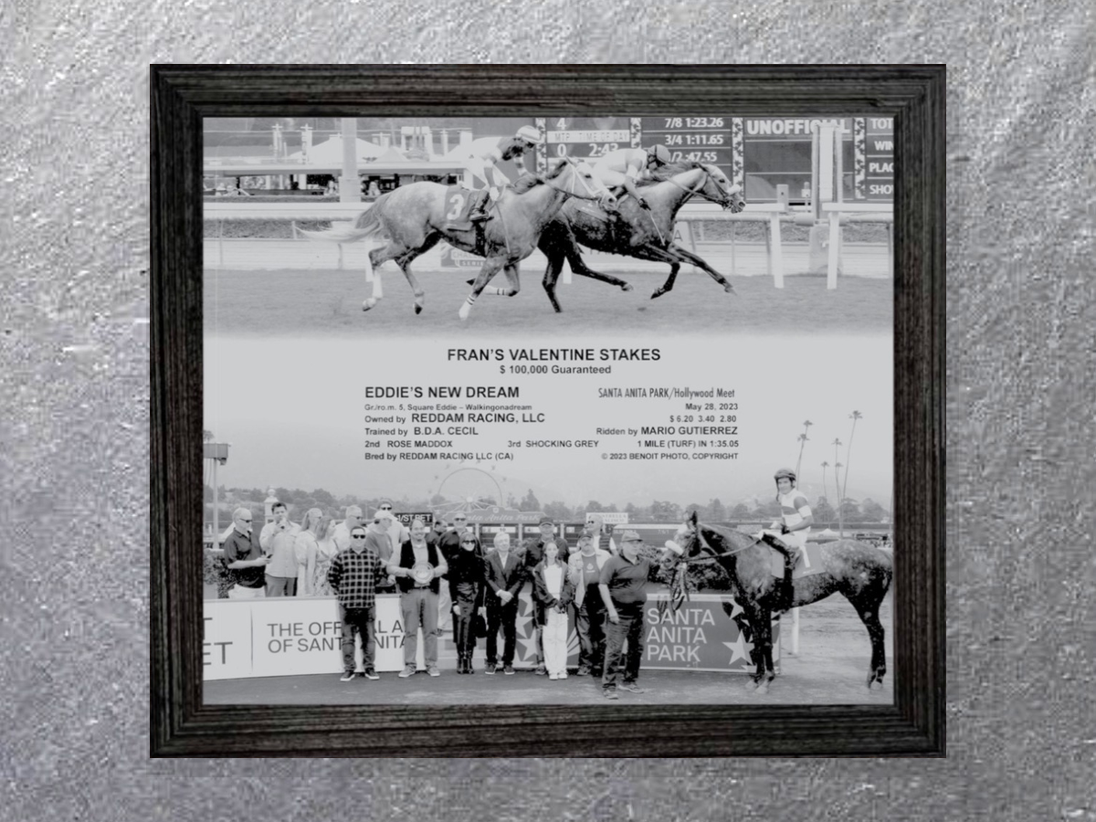 Fran’s Valentine Stakes commemorative plaque for Eddie’s New Dream at Santa Anita Park